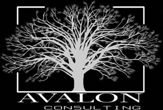 Avalon Consulting